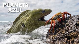 Alaska: La vida en el borde