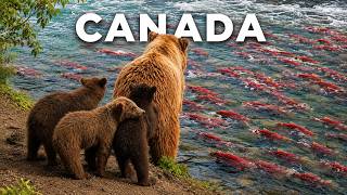 Canadá Salvaje: Supervivencia a -70°C