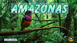 Amazonas: Aves Hermosas y Legendarias