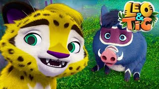 Leo y Tig: Episodios 6-10