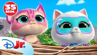 Superkitties: Más salvajes