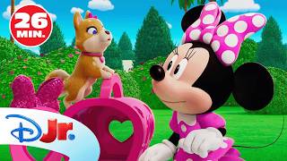 Minnie: Mascotas adorables