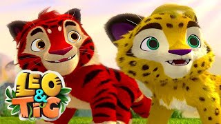Leo y Tig: Cuento de Invierno