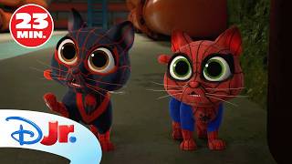 Spidey: Fiesta sorpresa