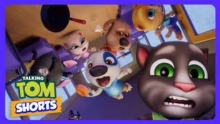 Talking Tom: Oso perfecto