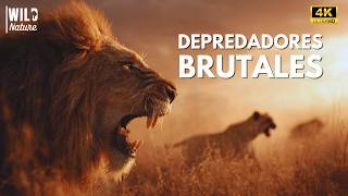 Depredadores Brutales