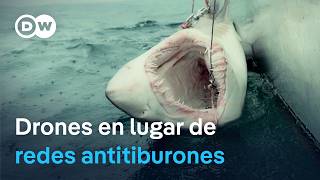 Tiburones: seguridad Australia