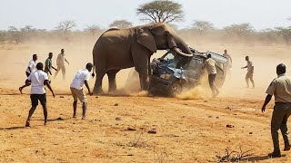 Safari: Viajes que Salieron Mal