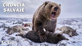 Croacia salvaje: supervivencia