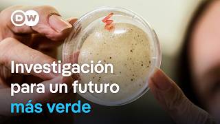 Bioplástico: Innovaciones contra el cambio climático