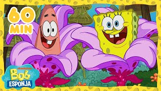 Bob Esponja: Mejores momentos