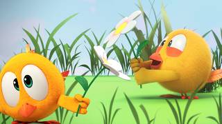 Chicky: ¿Dónde está Chicky?