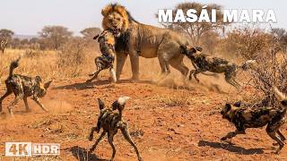 Masái Mara Salvaje
