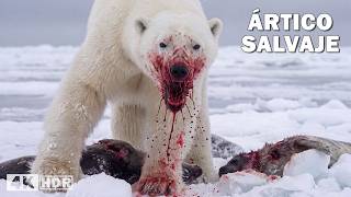 Ártico Salvaje: Sobrevivir al Invierno
