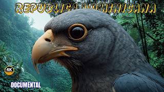 República Dominicana: Aves