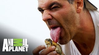 Animales salvajes Australia