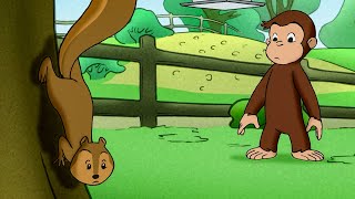 George: Le scimmie volano?