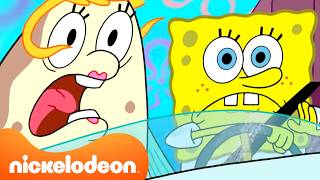 SpongeBob: Scuola guida