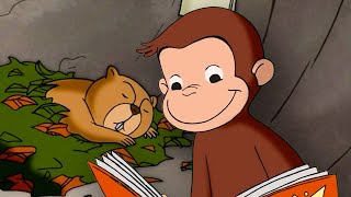 George: Marmotta