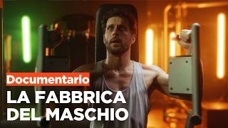 Machocrazia