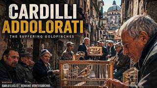 Cardilli addolorati