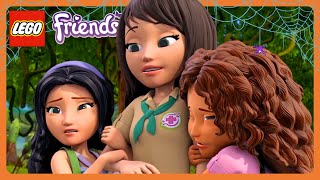 LEGO Friends: Noivo