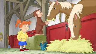 George: Fazenda com Allie
