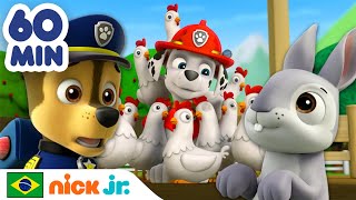 Patrulha Canina: Animais Fofos