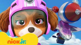 Patrulha Canina: Skye