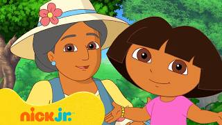 Dora: Professores