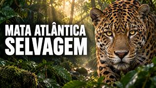 Mata Atlântica selvagem