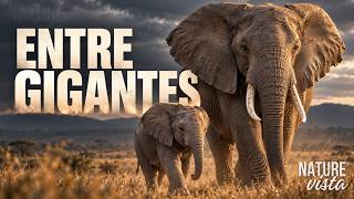 Grandes Mamíferos
