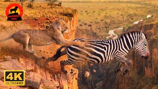 Botswana: migração