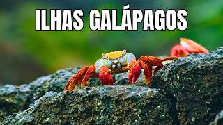 Galápagos: Vida Selvagem