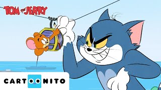 Tom & Jerry: Rivalität