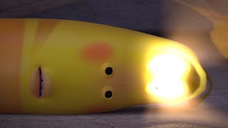 Larva: Licht