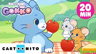 Tom & Jerry: Picknick