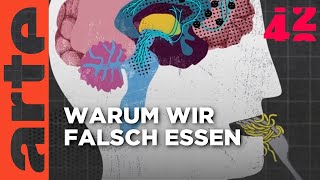 Warum essen wir, was wir essen?