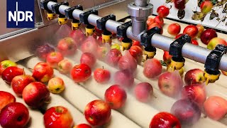 Fruchtsaft Herstellung