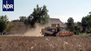 Hitzeschlacht Acker