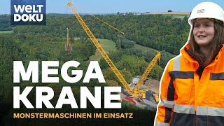 Mega-Krane im Einsatz