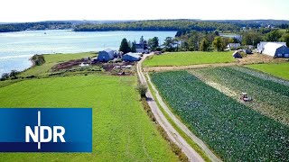 Lunenburg: Kanadas deutsche Küste