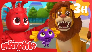 Morphle: Giant Lion