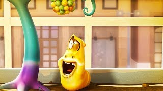 Larva: Strange Berries
