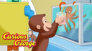 Curious George: Marine Lab