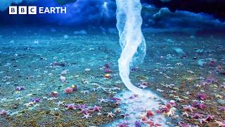 Planet Earth Seasons