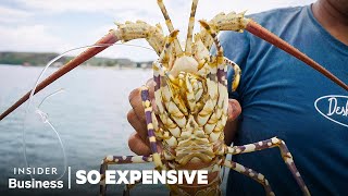 Priciest Seafoods Explained