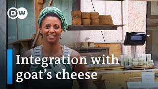 Alpine Cheese Making