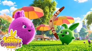 Sunny Bunnies: Boomerang