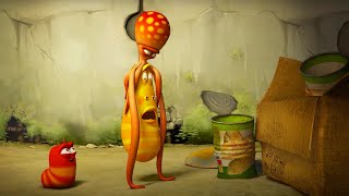 Larva: Calmar